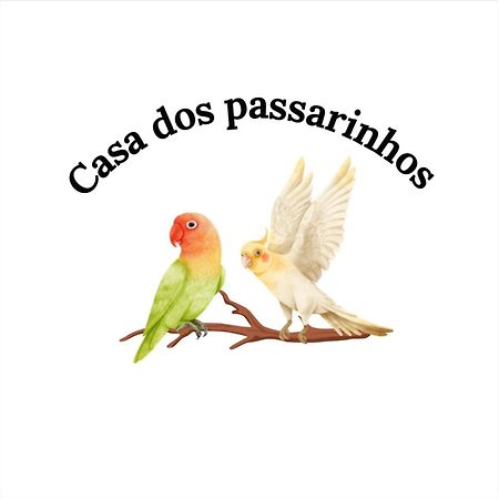 Casa Dos Passarinho'S , Lagos Extérieur photo